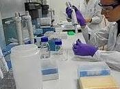 investigadores creen situación ciencia España mejorará 2011