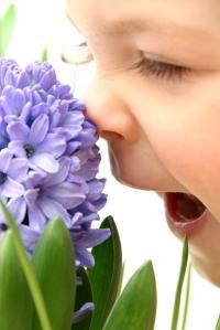 La tarta del tiempo: evocación de la memoria