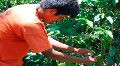 CAPACITAN A AGRICULTORES DEL VALLE DE SUPE EN BARRANCA…