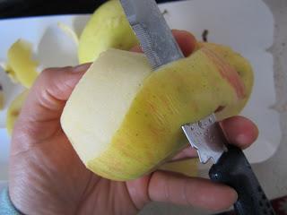 CRESTA GIGANTE DE MANZANA, CANELA Y SEMILLAS DE SÉSAMO AL JENGIBRE.