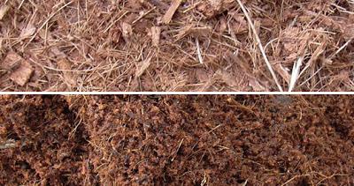 fibra de coco y humus de lombriz