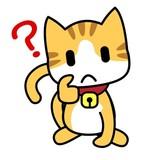 ¿Que es la fibra de coco?