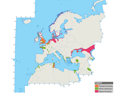 Un tarro blanco en Llodero