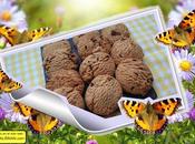 Cookies integrales thermomix