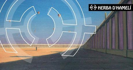 ENTREVISTA HERBA D’HAMELÍ