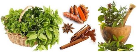 Hay hierbas que nos pueden ayudar a desintoxicar a nuestro perro