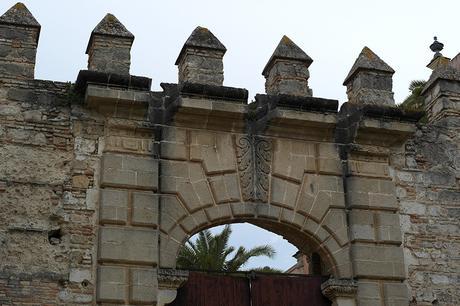 BLACK & WHITE BLACK & WHITE