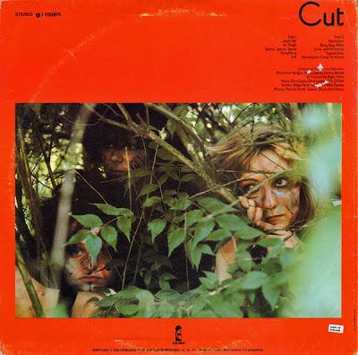 The Slits -Cut Lp 1980