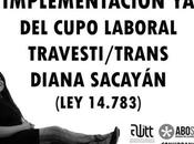 Implementación cupo laboral travesti trans provincia buenos aires