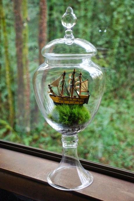 ¿Crucero? ... No, gracias.