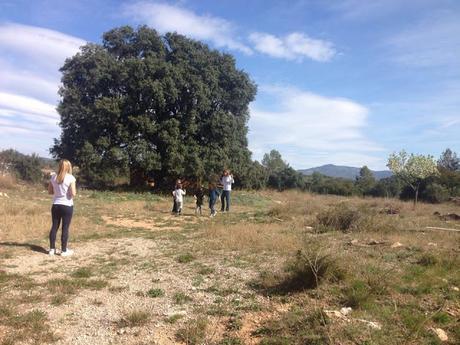 UN DÍA EN BODEGA VINYA NATURA