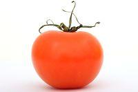 tomate