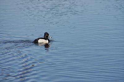 ¿Conocías los Esteros?