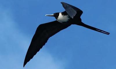 ¿Conocías los Esteros?