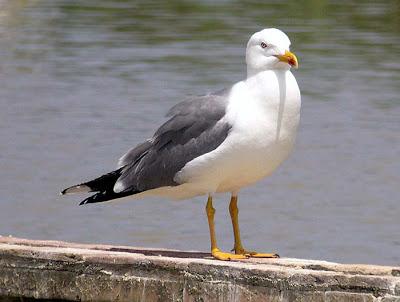 ¿Conocías los Esteros?