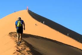 Corredores del desierto (Desert Runners)