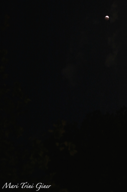 New York's moon, 2014. Photography Mari Trini Giner.