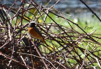 PROBANDO, PROBANDO...