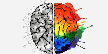 Cómo mejorar la memoria mediante la alimentación y el sueño Cómo mejorar la memoria mediante la alimentación y el sueño