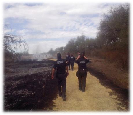 2 APOYOS COORDINADOS PARA COMBATIR INCENDIOS FORESTALES