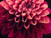 presenta Spectre, laptop delgada mercado, renueva línea ENVY