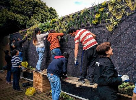 curso en Ecuador de jardines verticales