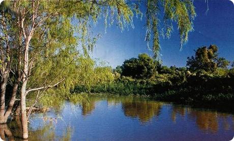 Otoño al borde del Paraná: Rumbo al Parque Nacional Predelta.