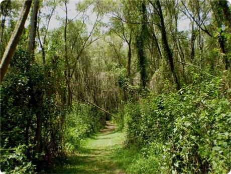 Otoño al borde del Paraná: Rumbo al Parque Nacional Predelta.
