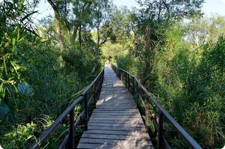 Otoño al borde del Paraná: Rumbo al Parque Nacional Predelta.