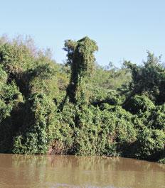 Otoño al borde del Paraná: Rumbo al Parque Nacional Predelta.