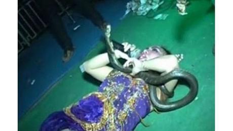 Cantante muere por mordedura de cobra