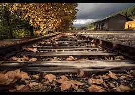 v  í  a         m  u  e  r  t  a