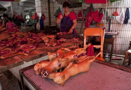festival-carne-perro-yulin festival-carne-perro-yulin