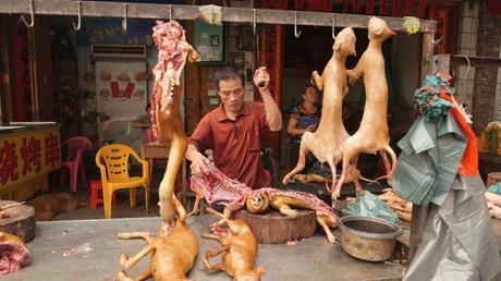 festival-carne-yulin