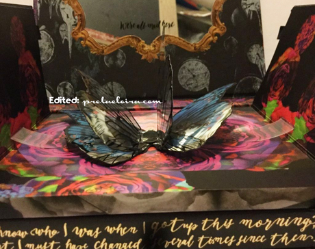 urban_decay_pretaeloria_2