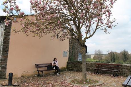 Pink Biker & Pink Tree