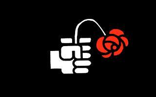 ¿LES QUEDAN IDEALES?