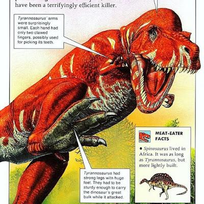 Variadito Especial Dinosaurios Raritos I