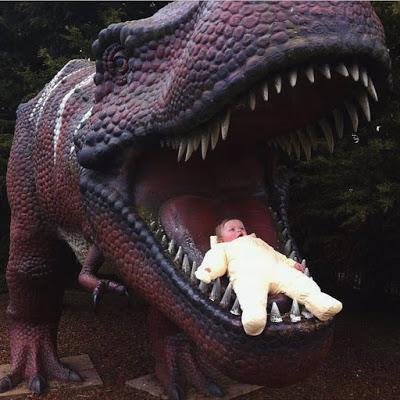 Variadito Especial Dinosaurios Raritos I