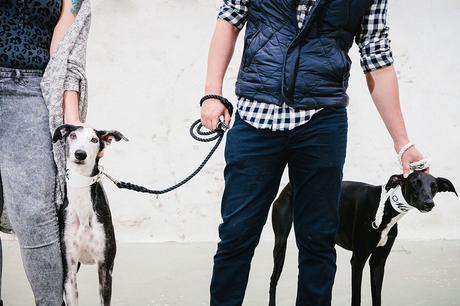 galgos-reportaje-preboda-zaragoza