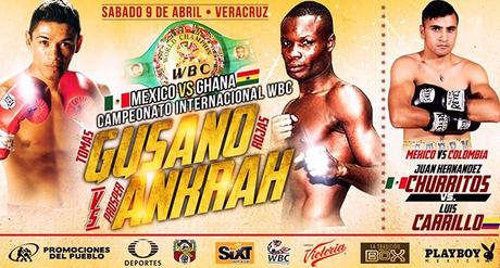 Tomas “Gusano” Rojas vs Prosper Ankrah en Vivo – Sábado 9 de Abril del 2016