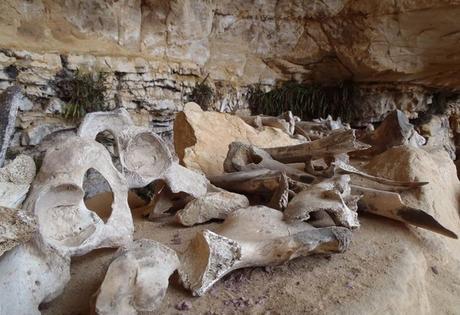 El misterio de los Sarcófagos de Carajia