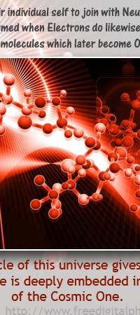 SACRIFICIO - Prof. G. Venkataraman