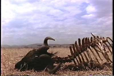 SACRIFICIO - Prof. G. Venkataraman