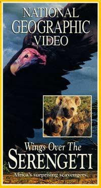 SACRIFICIO - Prof. G. Venkataraman