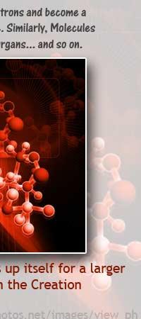 SACRIFICIO - Prof. G. Venkataraman