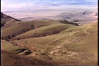 SACRIFICIO - Prof. G. Venkataraman