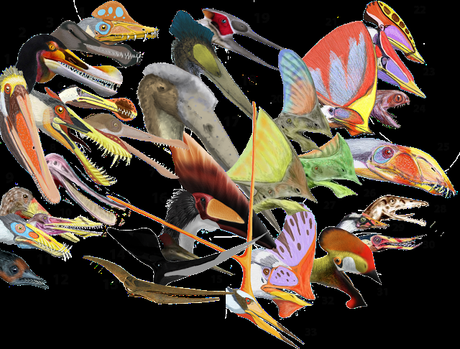 Mitos e ideas falsas de los pterosaurios Mitos e ideas falsas de los pterosaurios