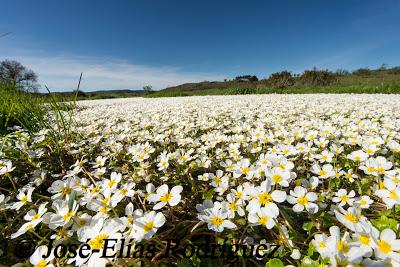 Abril