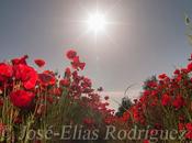 Abril